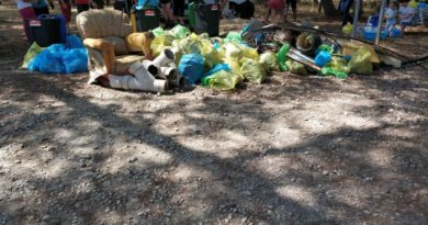 Unos 80 voluntarios acuden a limpiar una parte del bosque de la La Canyada durante toda una mañana Unos 80 voluntarios acuden a limpiar una parte del bosque de la La Canyada durante toda una mañana